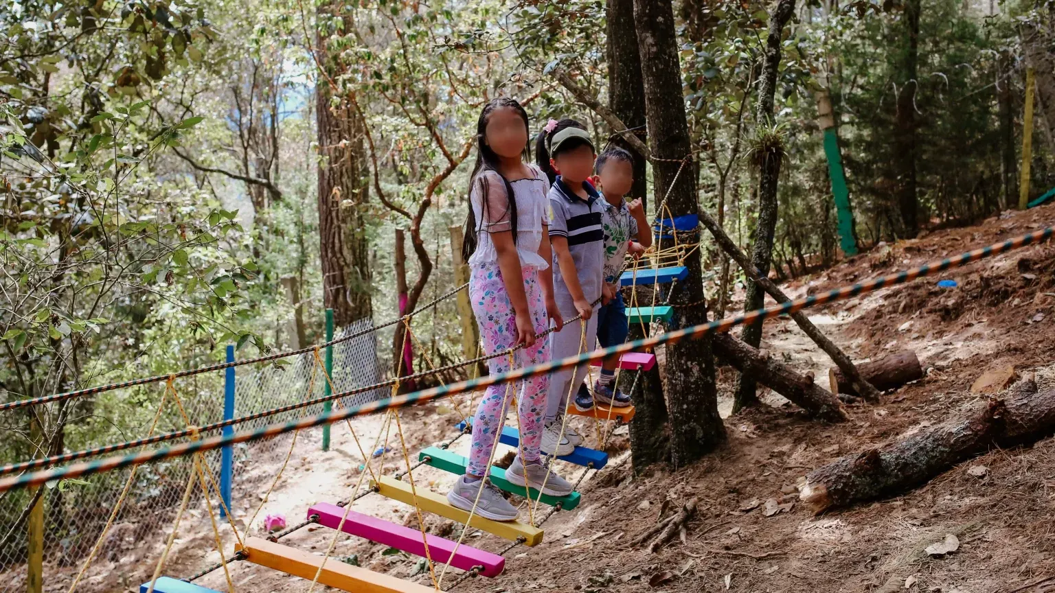 Niñas y niños cruzan un puente de tablas de colores entre los árboles